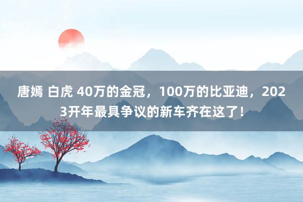 唐嫣 白虎 40万的金冠，100万的比亚迪，2023开年最具争议的新车齐在这了！