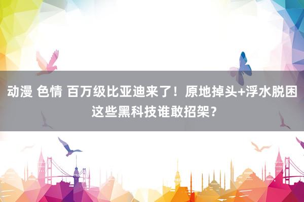 动漫 色情 百万级比亚迪来了！原地掉头+浮水脱困 这些黑科技谁敢招架？