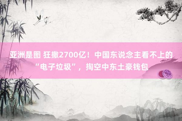 亚洲是图 狂撒2700亿！中国东说念主看不上的“电子垃圾”，掏空中东土豪钱包