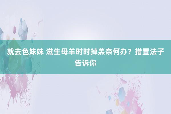 就去色妹妹 滋生母羊时时掉羔奈何办？措置法子告诉你