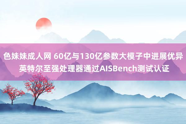 色妹妹成人网 60亿与130亿参数大模子中进展优异 英特尔至强处理器通过AISBench测试认证