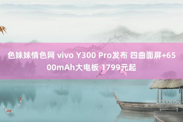 色妹妹情色网 vivo Y300 Pro发布 四曲面屏+6500mAh大电板 1799元起