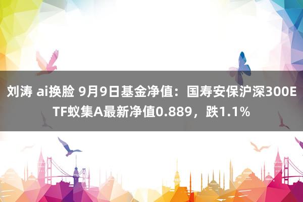 刘涛 ai换脸 9月9日基金净值：国寿安保沪深300ETF蚁集A最新净值0.889，跌1.1%