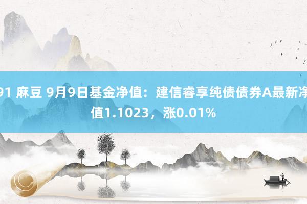 91 麻豆 9月9日基金净值：建信睿享纯债债券A最新净值1.1023，涨0.01%