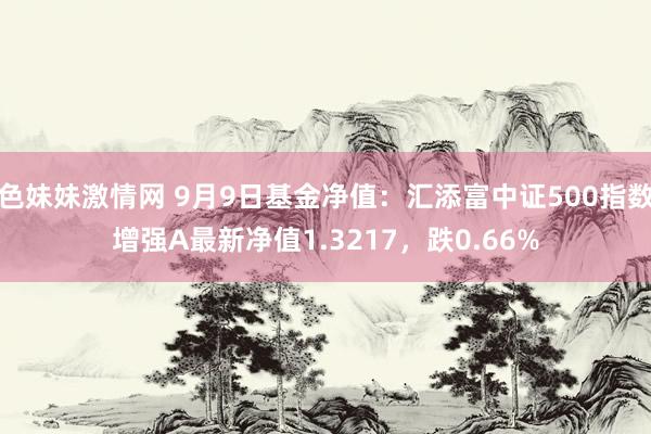 色妹妹激情网 9月9日基金净值：汇添富中证500指数增强A最新净值1.3217，跌0.66%