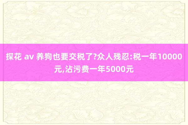 探花 av 养狗也要交税了?众人残忍:税一年10000元,沾污费一年5000元