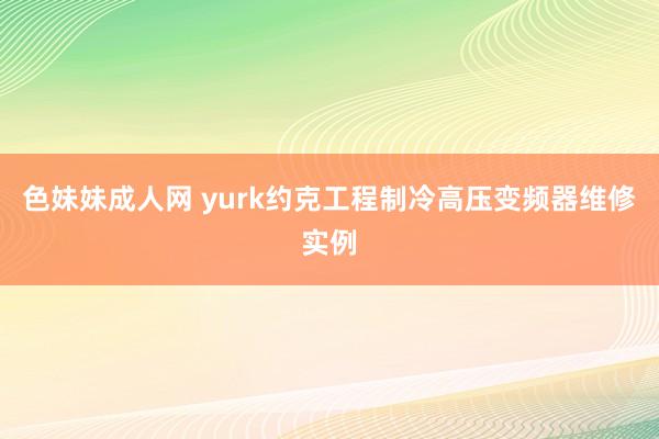 色妹妹成人网 yurk约克工程制冷高压变频器维修实例