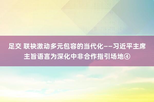 足交 联袂激动多元包容的当代化——习近平主席主旨语言为深化中非合作指引场地④