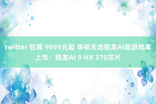 twitter 巨屌 9999元起 华硕天选锐龙AI版游戏本上市：锐龙AI 9 HX 370芯片