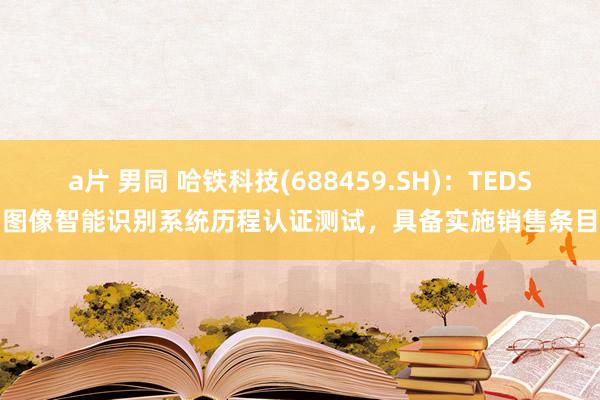 a片 男同 哈铁科技(688459.SH)：TEDS图像智能识别系统历程认证测试，具备实施销售条目