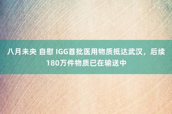 八月未央 自慰 IGG首批医用物质抵达武汉，后续180万件物质已在输送中