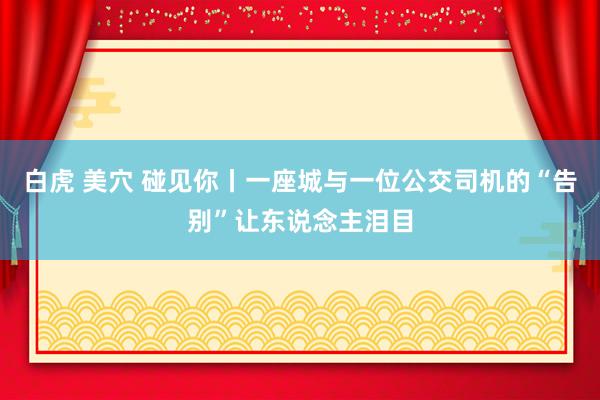 白虎 美穴 碰见你丨一座城与一位公交司机的“告别”让东说念主泪目