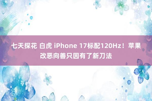 七天探花 白虎 iPhone 17标配120Hz！苹果改恶向善只因有了新刀法