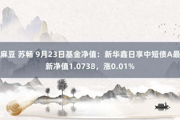 麻豆 苏畅 9月23日基金净值：新华鑫日享中短债A最新净值1.0738，涨0.01%