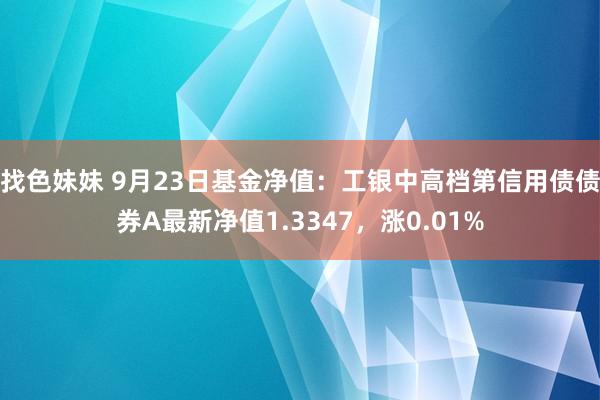 找色妹妹 9月23日基金净值：工银中高档第信用债债券A最新净值1.3347，涨0.01%