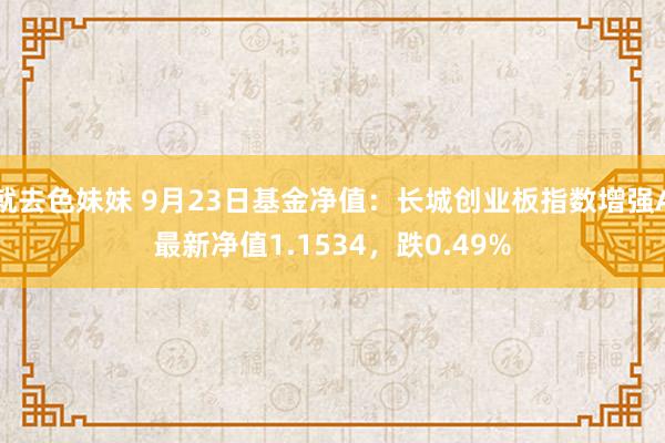 就去色妹妹 9月23日基金净值：长城创业板指数增强A最新净值1.1534，跌0.49%