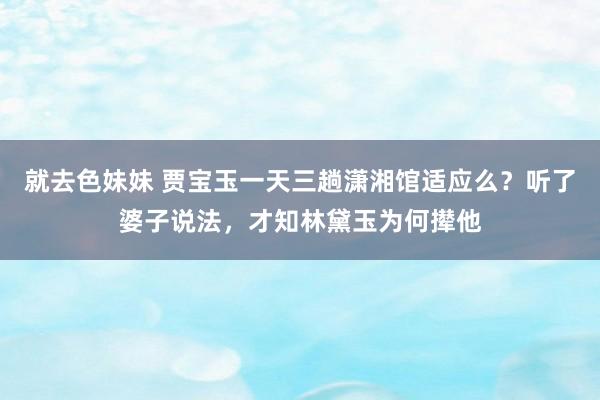 就去色妹妹 贾宝玉一天三趟潇湘馆适应么？听了婆子说法，才知林黛玉为何撵他