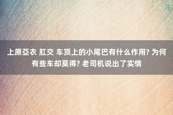 上原亞衣 肛交 车顶上的小尾巴有什么作用? 为何有些车却莫得? 老司机说出了实情