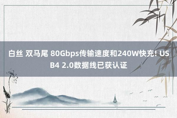 白丝 双马尾 80Gbps传输速度和240W快充! USB4 2.0数据线已获认证