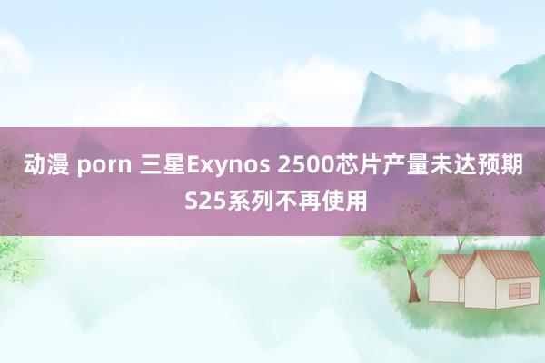 动漫 porn 三星Exynos 2500芯片产量未达预期 S25系列不再使用