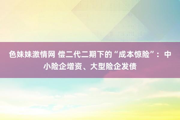 色妹妹激情网 偿二代二期下的“成本惊险”：中小险企增资、大型险企发债