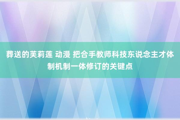 葬送的芙莉莲 动漫 把合手教师科技东说念主才体制机制一体修订的关键点