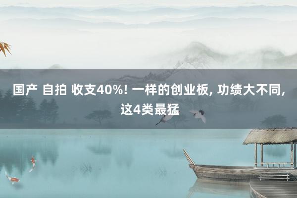 国产 自拍 收支40%! 一样的创业板, 功绩大不同, 这4类最猛