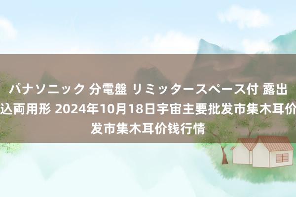 パナソニック 分電盤 リミッタースペース付 露出・半埋込両用形 2024年10月18日宇宙主要批发市集木耳价钱行情