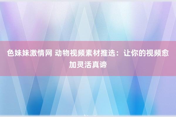 色妹妹激情网 动物视频素材推选：让你的视频愈加灵活真谛