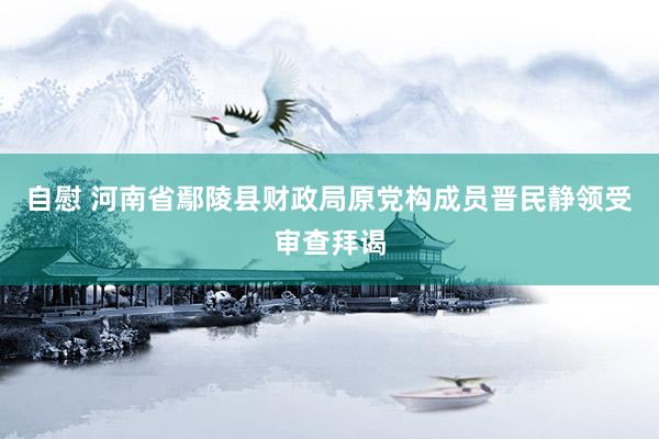 自慰 河南省鄢陵县财政局原党构成员晋民静领受审查拜谒