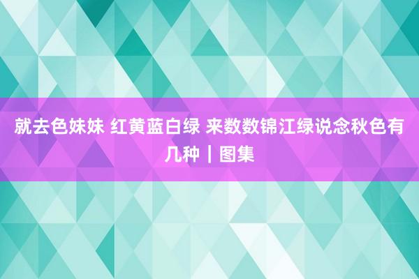 就去色妹妹 红黄蓝白绿 来数数锦江绿说念秋色有几种｜图集