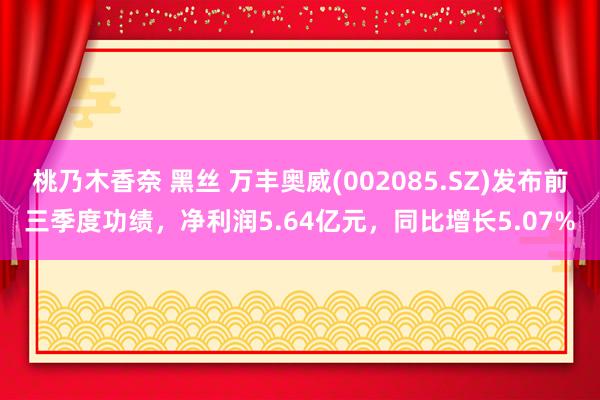 桃乃木香奈 黑丝 万丰奥威(002085.SZ)发布前三季度功绩，净利润5.64亿元，同比增长5.07%