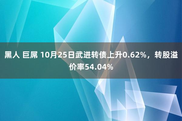 黑人 巨屌 10月25日武进转债上升0.62%，转股溢价率54.04%