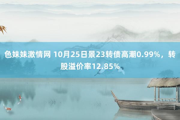 色妹妹激情网 10月25日景23转债高潮0.99%，转股溢价率12.85%