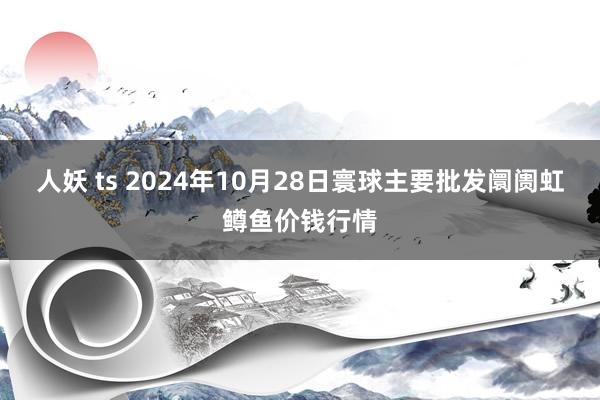 人妖 ts 2024年10月28日寰球主要批发阛阓虹鳟鱼价钱行情