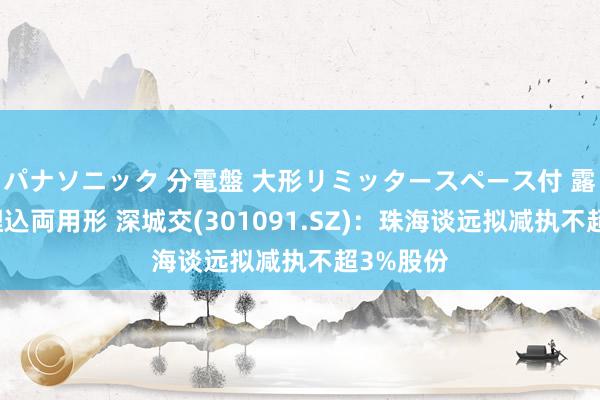 パナソニック 分電盤 大形リミッタースペース付 露出・半埋込両用形 深城交(301091.SZ)：珠海谈远拟减执不超3%股份