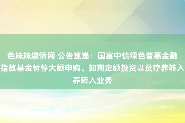 色妹妹激情网 公告速递：国富中债绿色普惠金融债券指数基金暂停大额申购、如期定额投资以及疗养转入业务