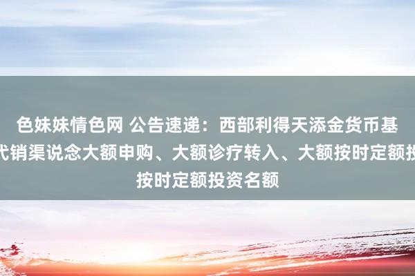 色妹妹情色网 公告速递：西部利得天添金货币基金调整代销渠说念大额申购、大额诊疗转入、大额按时定额投资名额