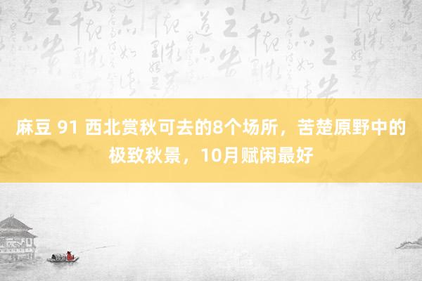 麻豆 91 西北赏秋可去的8个场所，苦楚原野中的极致秋景，10月赋闲最好