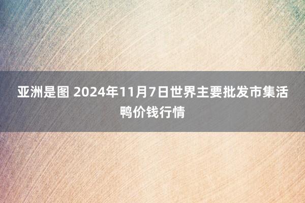 亚洲是图 2024年11月7日世界主要批发市集活鸭价钱行情