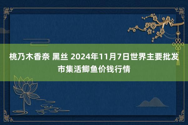 桃乃木香奈 黑丝 2024年11月7日世界主要批发市集活鲫鱼价钱行情