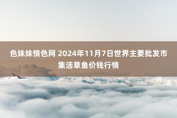 色妹妹情色网 2024年11月7日世界主要批发市集活草鱼价钱行情