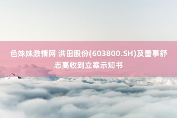 色妹妹激情网 洪田股份(603800.SH)及董事舒志高收到立案示知书